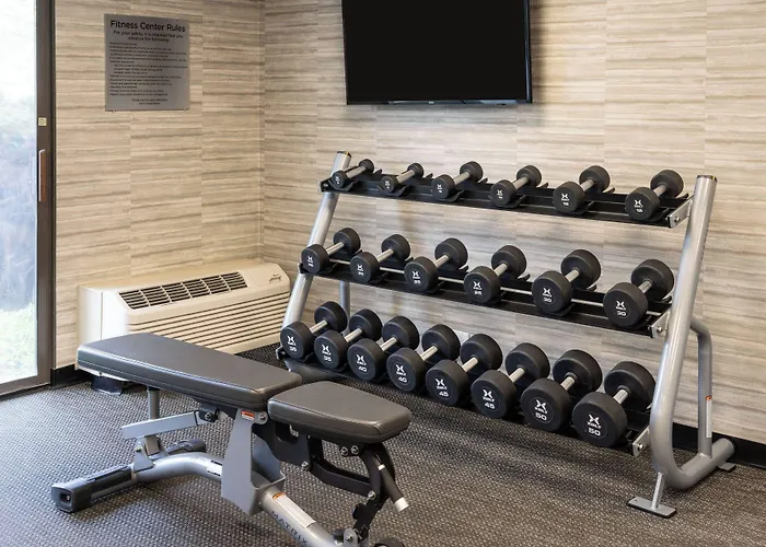Hotel Courtyard Chicago / Itasca 3*